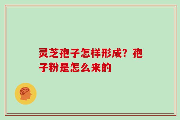 灵芝孢子怎样形成？孢子粉是怎么来的