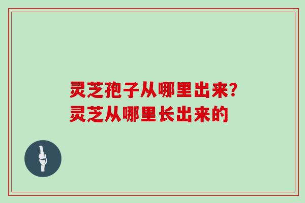 灵芝孢子从哪里出来?灵芝从哪里长出来的