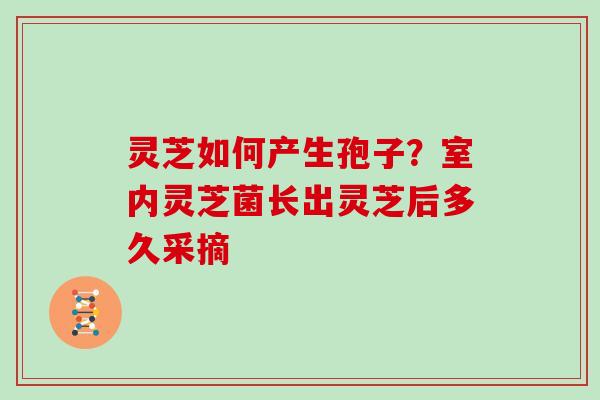 灵芝如何产生孢子？室内灵芝菌长出灵芝后多久采摘