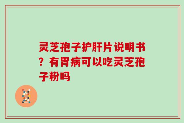 灵芝孢子护肝片说明书?有胃病可以吃灵芝孢子粉吗