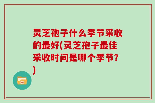 灵芝孢子什么季节采收的最好(灵芝孢子最佳采收时间是哪个季节？)