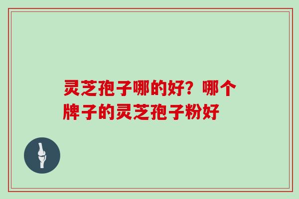 灵芝孢子哪的好?哪个牌子的灵芝孢子粉好