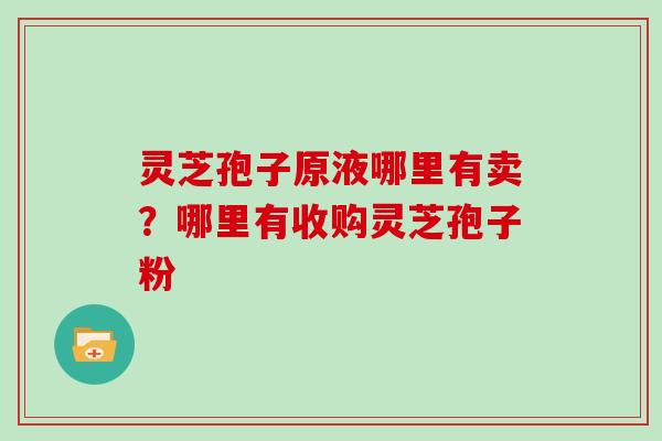 灵芝孢子原液哪里有卖？哪里有收购灵芝孢子粉