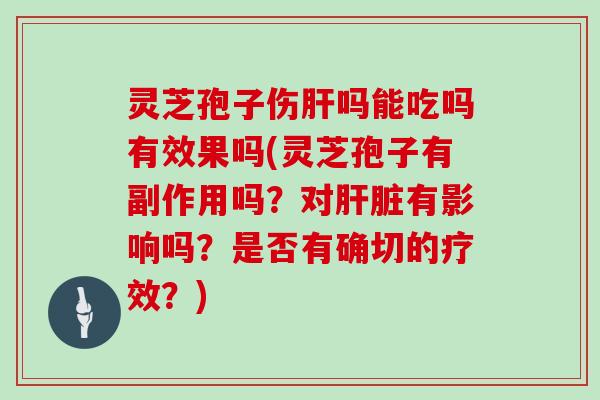 灵芝孢子伤肝吗能吃吗有效果吗(灵芝孢子有副作用吗?对肝脏有影响吗?是否有确切的疗效?)