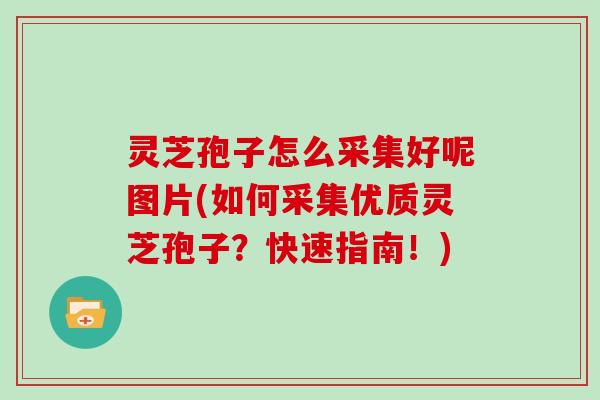 灵芝孢子怎么采集好呢图片(如何采集优质灵芝孢子？快速指南！)
