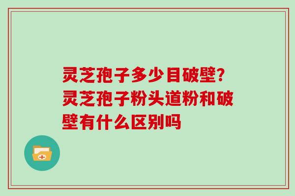 灵芝孢子多少目破壁?灵芝孢子粉头道粉和破壁有什么区别吗