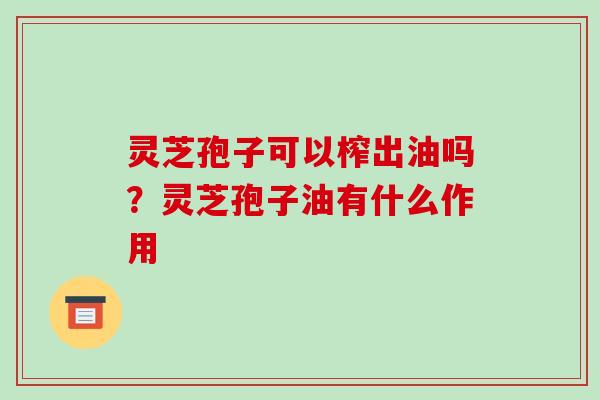 灵芝孢子可以榨出油吗?灵芝孢子油有什么作用