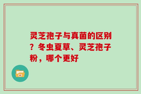 灵芝孢子与真菌的区别?冬虫夏草、灵芝孢子粉,哪个更好