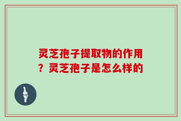 灵芝孢子提取物的作用?灵芝孢子是怎么样的