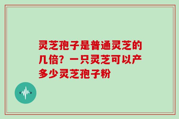 灵芝孢子是普通灵芝的几倍?一只灵芝可以产多少灵芝孢子粉