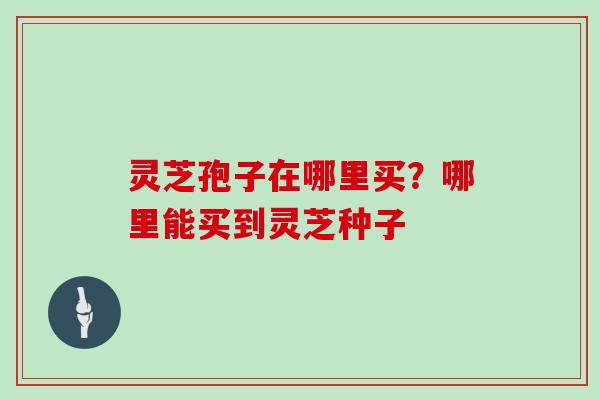 灵芝孢子在哪里买?哪里能买到灵芝种子