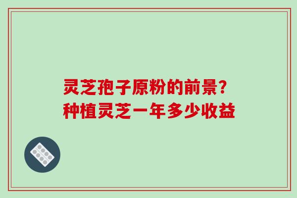 灵芝孢子原粉的前景?种植灵芝一年多少收益