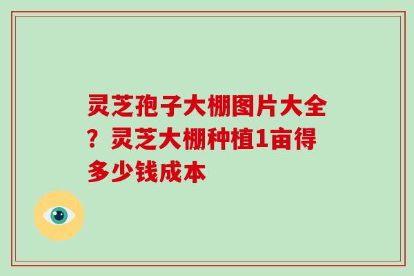 灵芝孢子大棚图片大全?灵芝大棚种植1亩得多少钱成本
