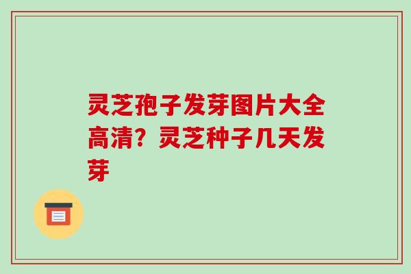 灵芝孢子发芽图片大全高清?灵芝种子几天发芽