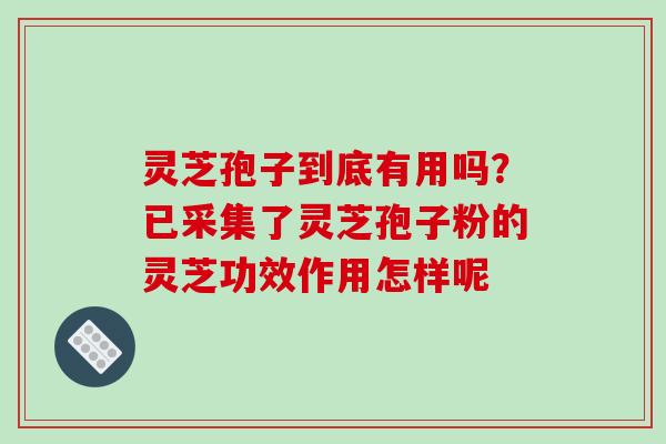 灵芝孢子到底有用吗?已采集了灵芝孢子粉的灵芝功效作用怎样呢