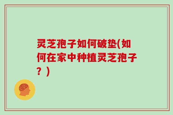 灵芝孢子如何破垫(如何在家中种植灵芝孢子？)