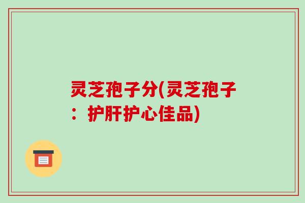 灵芝孢子分(灵芝孢子:护肝护心佳品)
