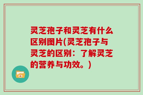 灵芝孢子和灵芝有什么区别图片(灵芝孢子与灵芝的区别:了解灵芝的营养与功效。)