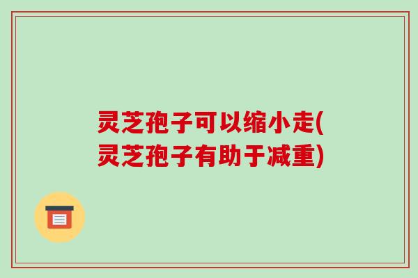 灵芝孢子可以缩小走(灵芝孢子有助于减重)
