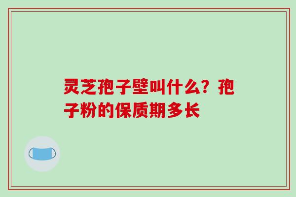 灵芝孢子壁叫什么？孢子粉的保质期多长