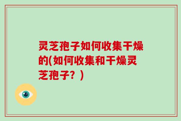 灵芝孢子如何收集干燥的(如何收集和干燥灵芝孢子?)