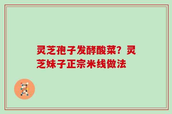 灵芝孢子发酵酸菜?灵芝妹子正宗米线做法