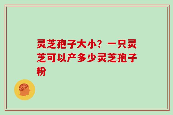 灵芝孢子大小?一只灵芝可以产多少灵芝孢子粉