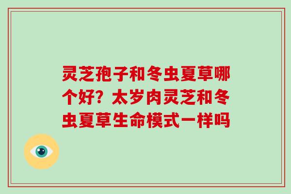 灵芝孢子和冬虫夏草哪个好?太岁肉灵芝和冬虫夏草生命模式一样吗