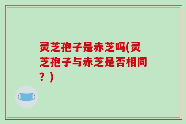 灵芝孢子是赤芝吗(灵芝孢子与赤芝是否相同?)