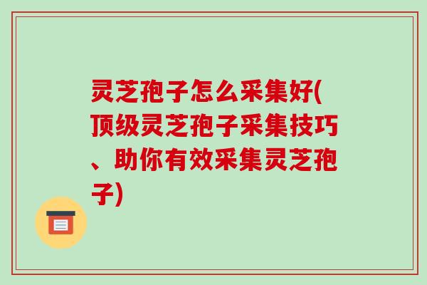 灵芝孢子怎么采集好(顶级灵芝孢子采集技巧、助你有效采集灵芝孢子)