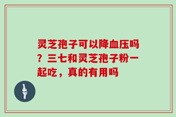 灵芝孢子可以降血压吗?三七和灵芝孢子粉一起吃,真的有用吗