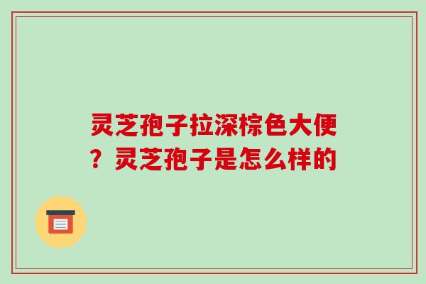 灵芝孢子拉深棕色大便?灵芝孢子是怎么样的
