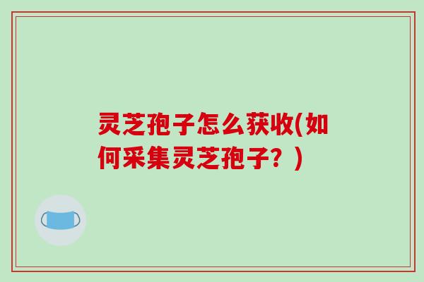 灵芝孢子怎么获收(如何采集灵芝孢子?)