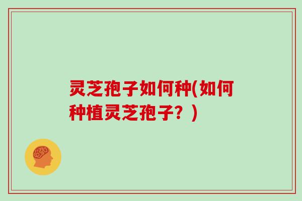 灵芝孢子如何种(如何种植灵芝孢子?)