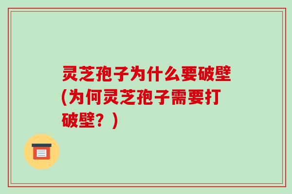 灵芝孢子为什么要破壁(为何灵芝孢子需要打破壁?)