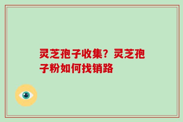 灵芝孢子收集?灵芝孢子粉如何找销路