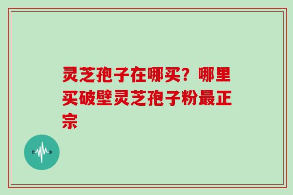 灵芝孢子在哪买?哪里买破壁灵芝孢子粉最正宗