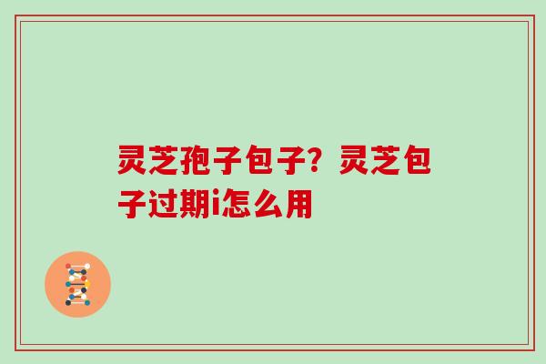 灵芝孢子包子?灵芝包子过期i怎么用