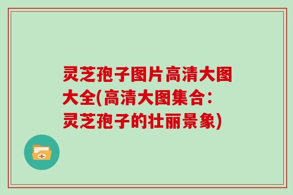 灵芝孢子图片高清大图大全(高清大图集合:灵芝孢子的壮丽景象)