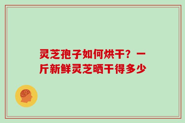 灵芝孢子如何烘干?一斤新鲜灵芝晒干得多少