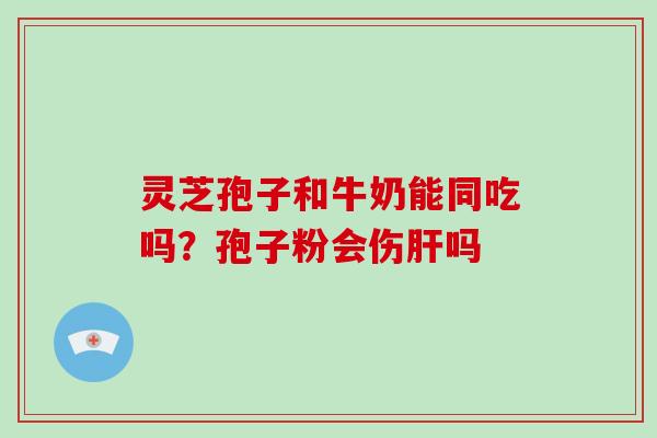 灵芝孢子和牛奶能同吃吗?孢子粉会伤肝吗
