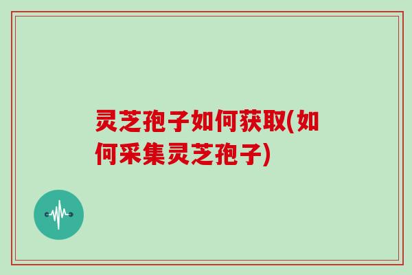 灵芝孢子如何获取(如何采集灵芝孢子)
