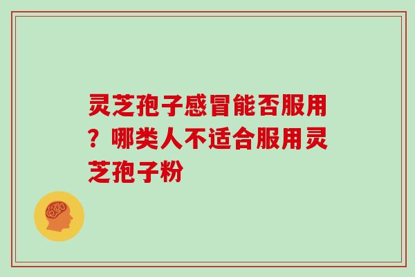 灵芝孢子感冒能否服用?哪类人不适合服用灵芝孢子粉