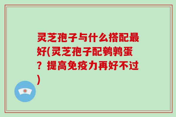 灵芝孢子与什么搭配最好(灵芝孢子配鹌鹑蛋?提高免疫力再好不过)