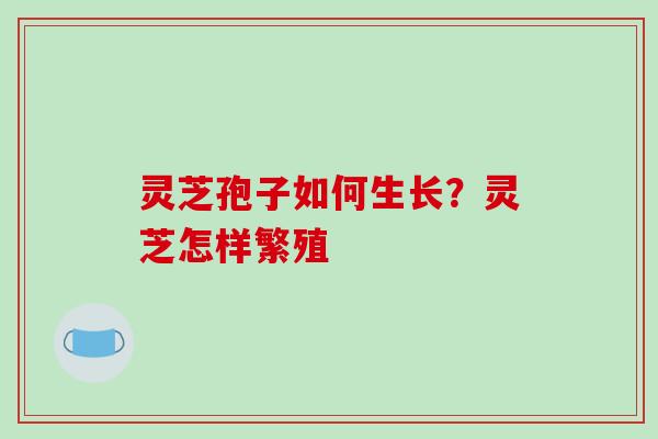 灵芝孢子如何生长？灵芝怎样繁殖