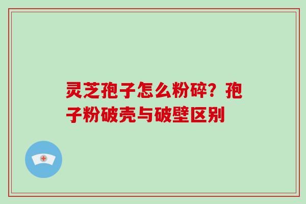 灵芝孢子怎么粉碎?孢子粉破壳与破壁区别
