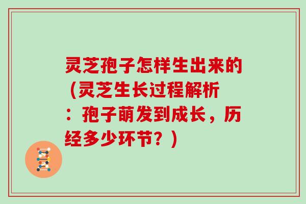 灵芝孢子怎样生出来的 (灵芝生长过程解析：孢子萌发到成长，历经多少环节？)