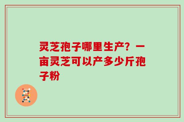 灵芝孢子哪里生产？一亩灵芝可以产多少斤孢子粉