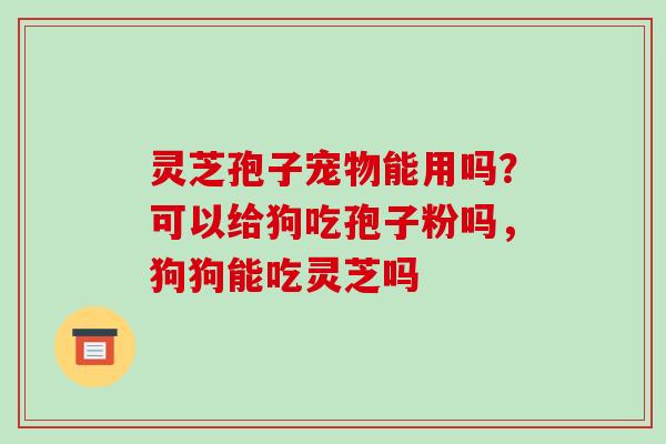 灵芝孢子宠物能用吗?可以给狗吃孢子粉吗,狗狗能吃灵芝吗