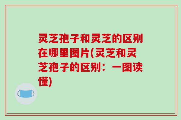 灵芝孢子和灵芝的区别在哪里图片(灵芝和灵芝孢子的区别：一图读懂)